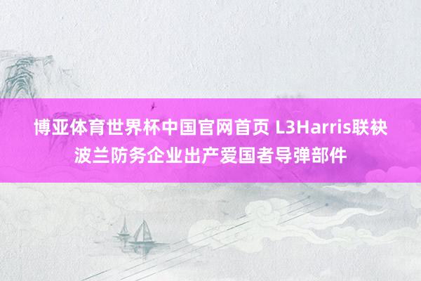 博亚体育世界杯中国官网首页 L3Harris联袂波兰防务企业出产爱国者导弹部件