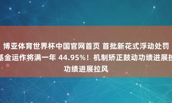 博亚体育世界杯中国官网首页 首批新花式浮动处罚费基金运作将满一年 44.95%！机制矫正鼓动功绩进展拉风