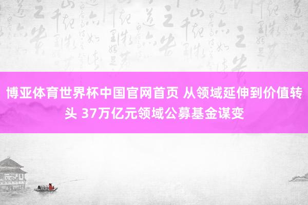 博亚体育世界杯中国官网首页 从领域延伸到价值转头 37万亿元领域公募基金谋变