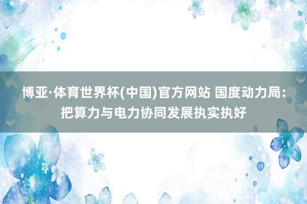 博亚·体育世界杯(中国)官方网站 国度动力局：把算力与电力协同发展执实执好