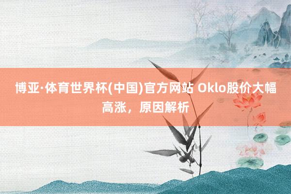 博亚·体育世界杯(中国)官方网站 Oklo股价大幅高涨，原因解析