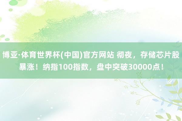 博亚·体育世界杯(中国)官方网站 彻夜，存储芯片股暴涨！纳指100指数，盘中突破30000点！