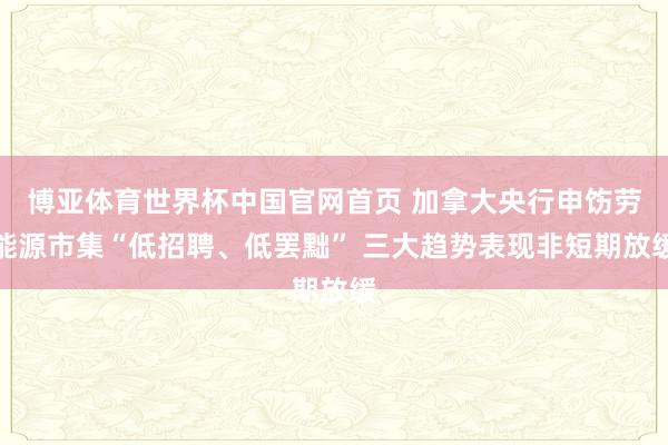 博亚体育世界杯中国官网首页 加拿大央行申饬劳能源市集“低招聘、低罢黜” 三大趋势表现非短期放缓