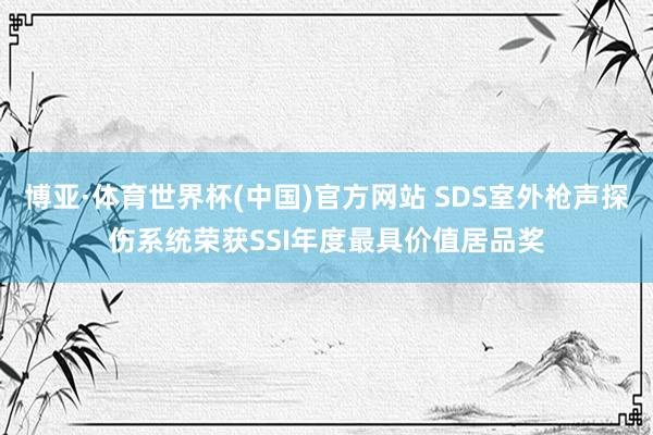 博亚·体育世界杯(中国)官方网站 SDS室外枪声探伤系统荣获SSI年度最具价值居品奖