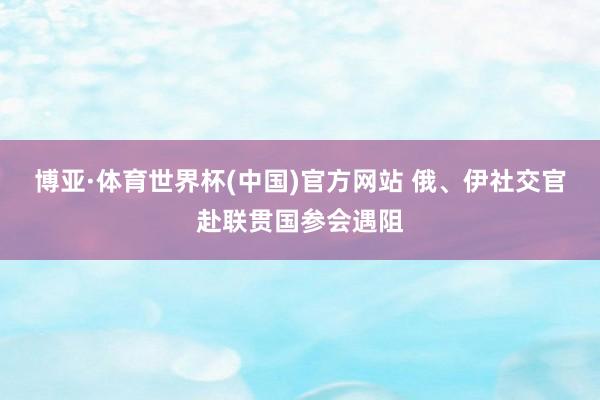 博亚·体育世界杯(中国)官方网站 俄、伊社交官赴联贯国参会遇阻