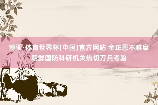 博亚·体育世界杯(中国)官方网站 金正恩不雅摩朝鲜国防科研机关热切刀兵考验