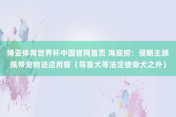 博亚体育世界杯中国官网首页 海底捞：侵略主顾佩带宠物进店用餐（导盲犬等法定使命犬之外）