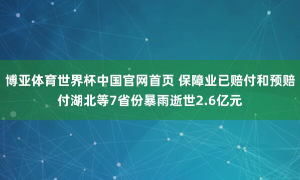 博亚体育世界杯中国官网首页 保障业已赔付和预赔付湖北等7省份暴雨逝世2.6亿元