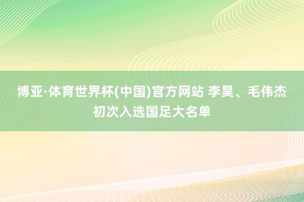 博亚·体育世界杯(中国)官方网站 李昊、毛伟杰初次入选国足大名单