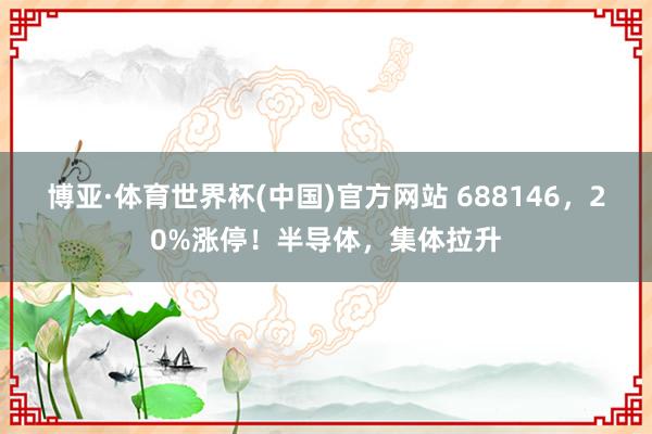 博亚·体育世界杯(中国)官方网站 688146,20%涨停!半导体,集体拉升