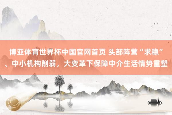 博亚体育世界杯中国官网首页 头部阵营“求稳”、中小机构削弱，大变革下保障中介生活情势重塑