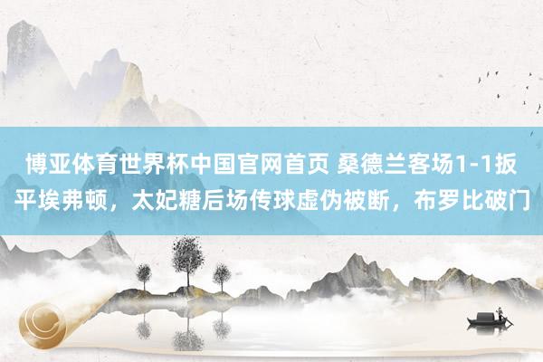 博亚体育世界杯中国官网首页 桑德兰客场1-1扳平埃弗顿，太妃糖后场传球虚伪被断，布罗比破门
