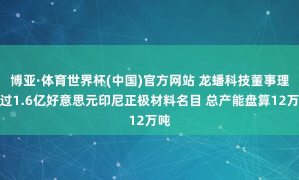 博亚·体育世界杯(中国)官方网站 龙蟠科技董事理会过1.6亿好意思元印尼正极材料名目 总产能盘算12万吨