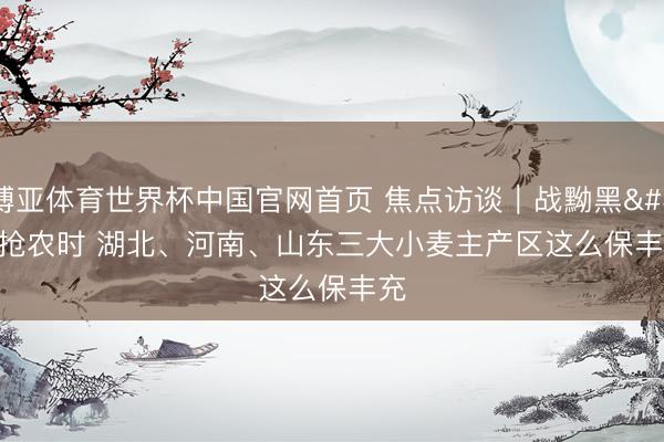 博亚体育世界杯中国官网首页 焦点访谈|战黝黑 抢农时 湖北、河南、山东三大小麦主产区这么保丰充