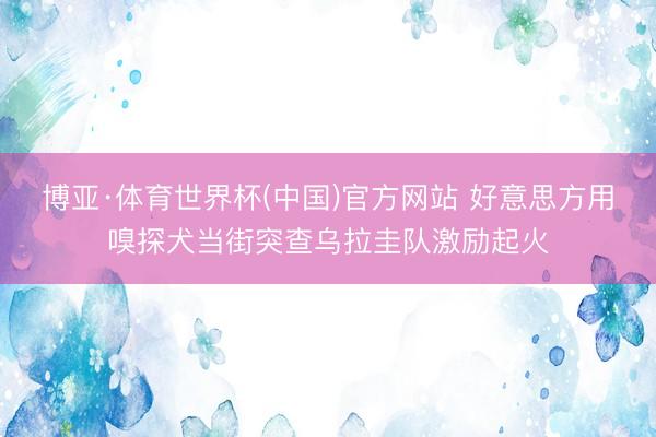 博亚·体育世界杯(中国)官方网站 好意思方用嗅探犬当街突查乌拉圭队激励起火